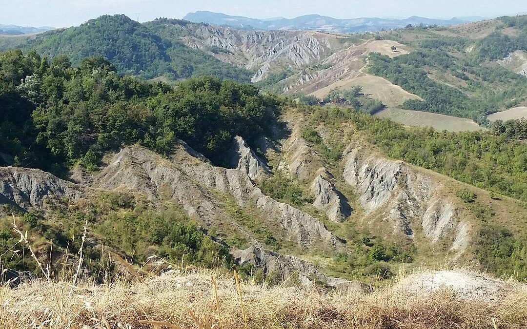 I Gessi di Bologna – 08/03/2026