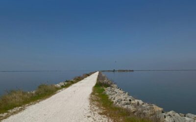 Argine Degli Angeli (FE) – T – Sabato 28/03/2026