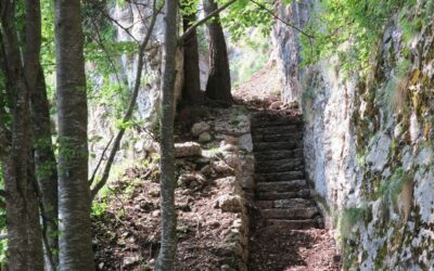 Forra del lupo e forte Dosso delle Somme (TN) – 07/06/2026