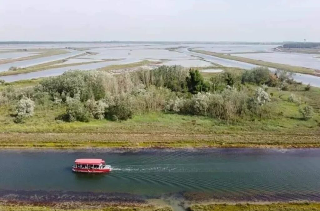 Isola degli Spinaroni () – 14/06/2026