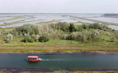 Isola degli Spinaroni () – 14/06/2026