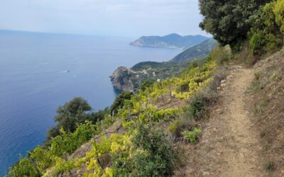LIGURIA: 5 TERRE (SP) – E – 10-11/10/2026